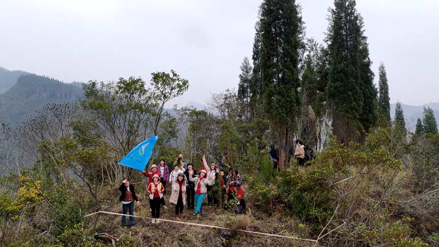 圖為“橙香漫山野,徒步拾冬趣”首屆椪柑節現場。