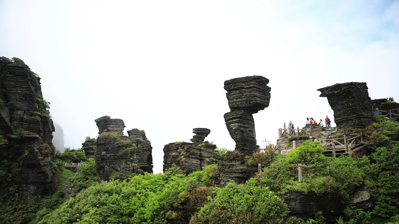 景區。劉怡珉、王婷婷供圖