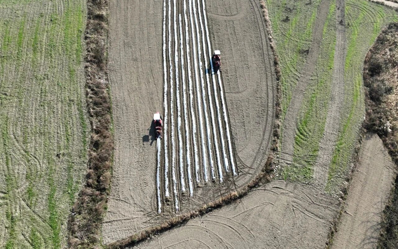 鬆桃烏羅鎮：機械化種植助推馬鈴薯產業提質增效。