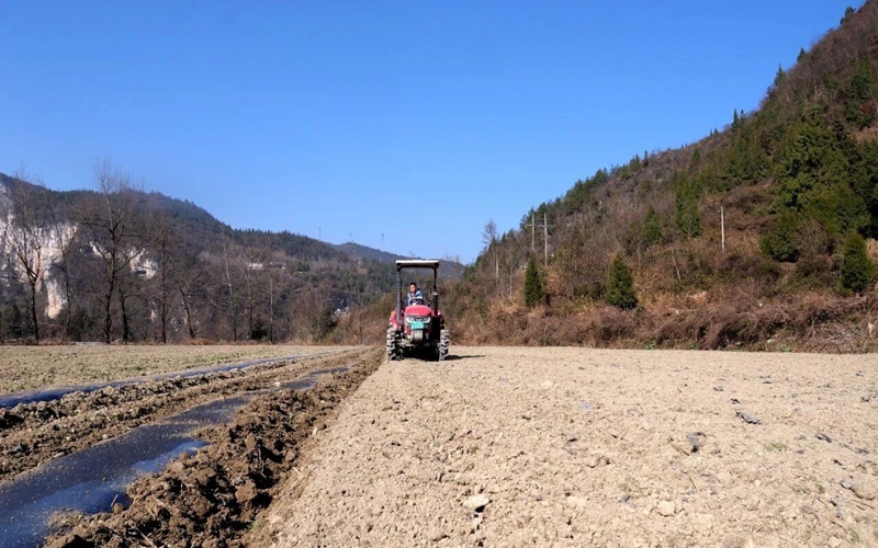 鬆桃烏羅鎮：機械化種植助推馬鈴薯產業提質增效。