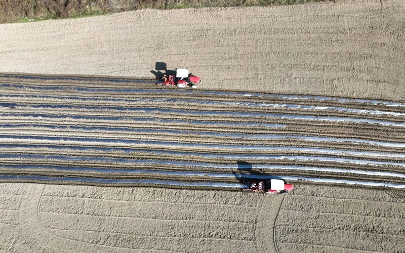 鬆桃烏羅鎮：機械化種植助推馬鈴薯產業提質增效。