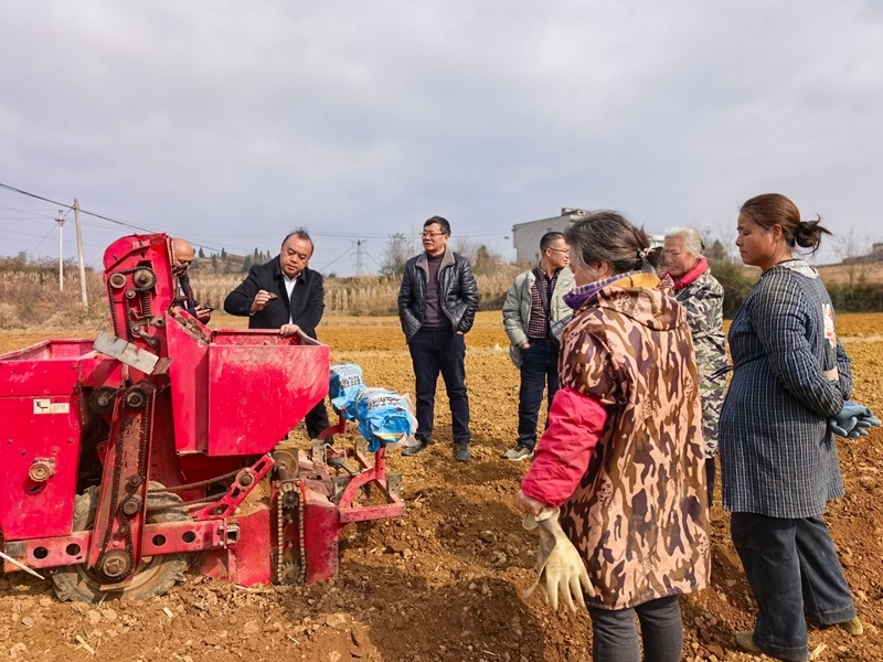 村民在基地务工 (1).jpg