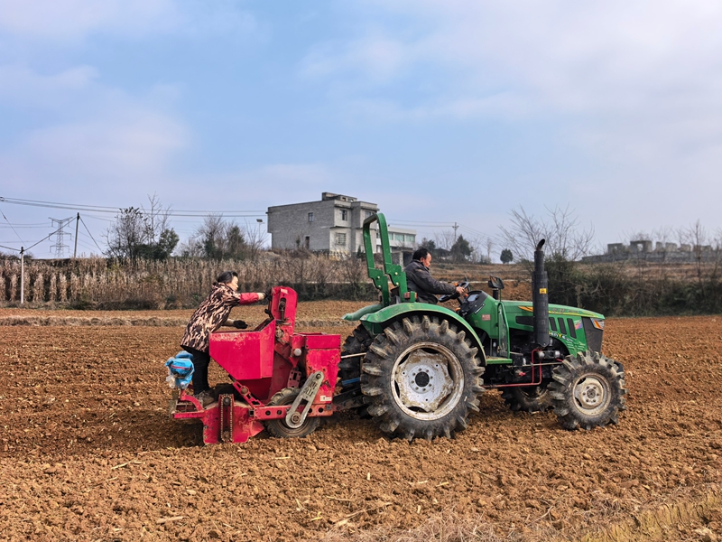村民在基地务工。