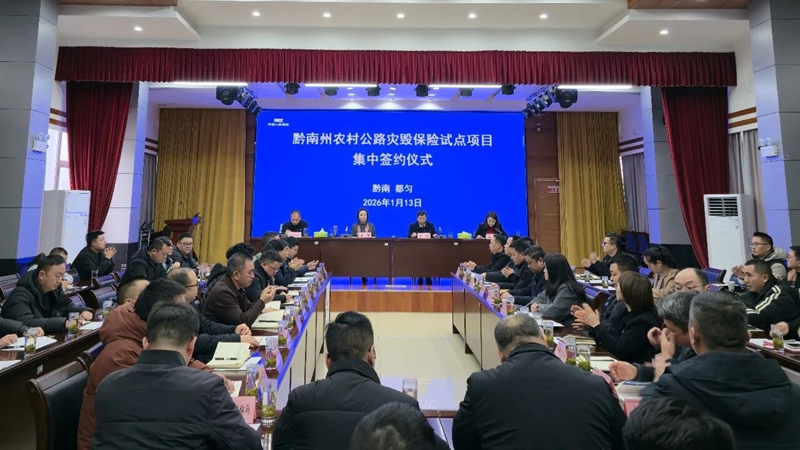 1 图为集中签约仪式现场.jpg