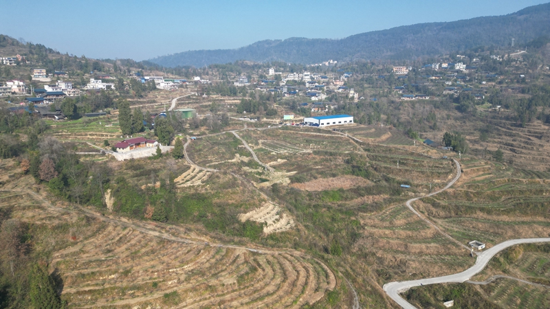 桃园基地（孙磊摄）.JPG