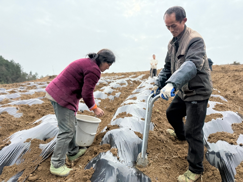 大地乡（王靖云 摄）