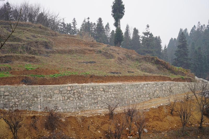 2026年1月15日，纳雍县沙包镇秀才坝村，机耕道的堡坎砌得平整坚固。.JPG