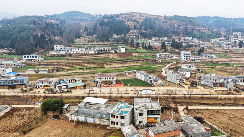 可界村村容村貌一角。