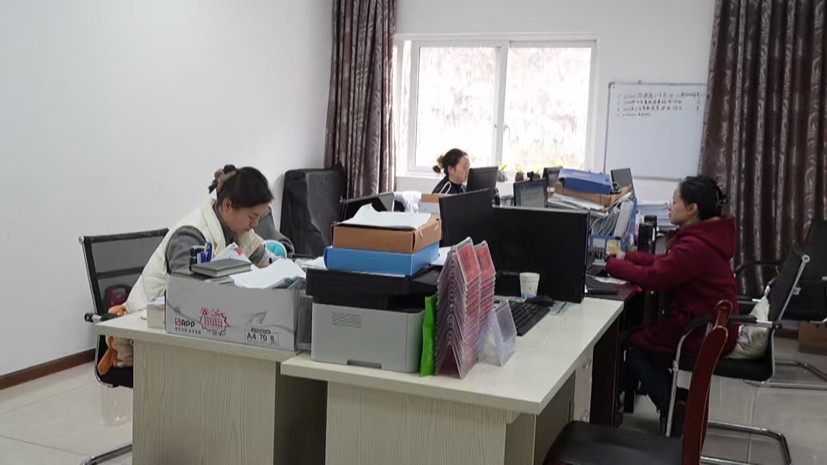 政務服務中心工作人員在辦公。