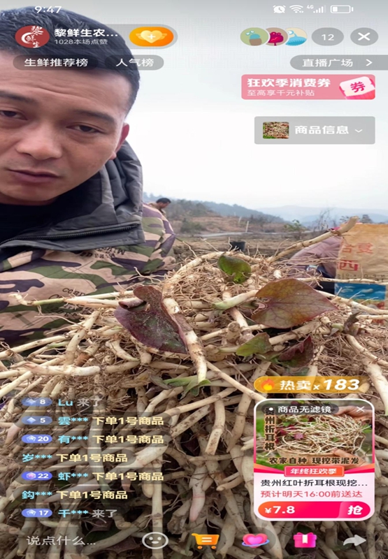 一把折耳根種出幸福路。