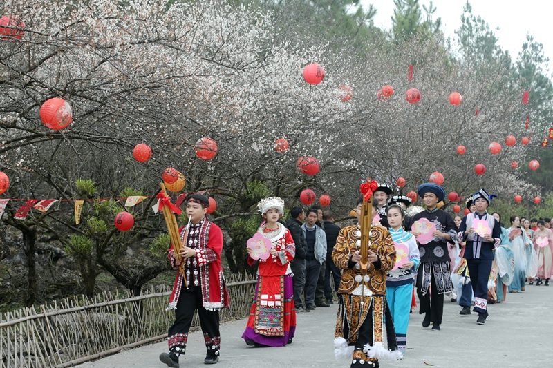 2 图为“梅花仙子”NPC沿梅林巡游。戴友维 摄.JPG