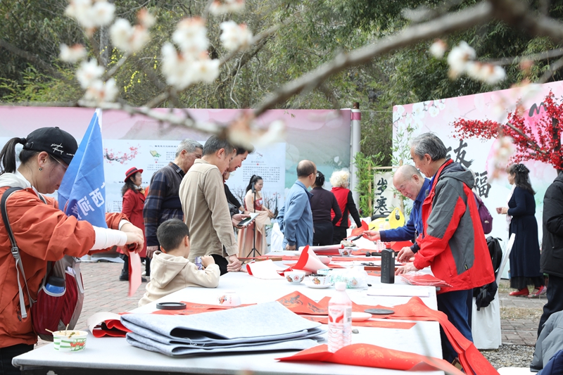 3 图为“岁寒三友”文化体验区墨香氤氲。戴友维  摄.JPG