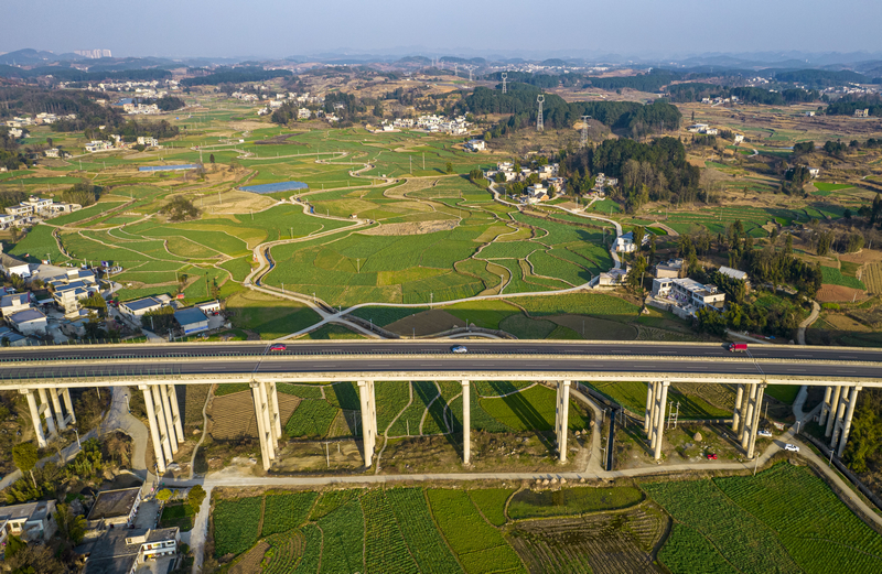2026年1月18日拍摄的贵州省黔西市金碧镇铧口寨社区油菜田园冬景（无人机照片）。