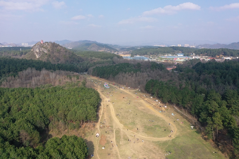 1、都溪林场百亩草坪。