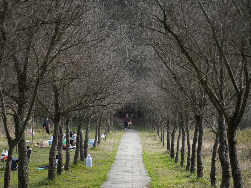 6、都溪林场内步道旁露营的游客。