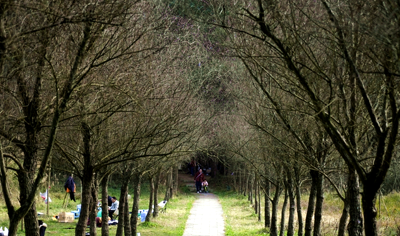 来白云区发现真正的森林周末