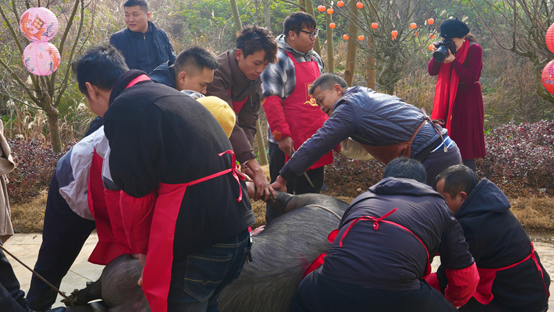 天龍屯堡年味濃。
