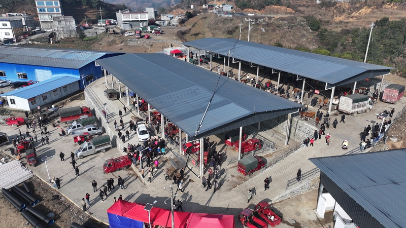 倮柱牲畜交易市场侧面 谢永奇 摄