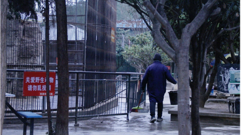 凱裡市動物園正在採取防寒保暖措施。