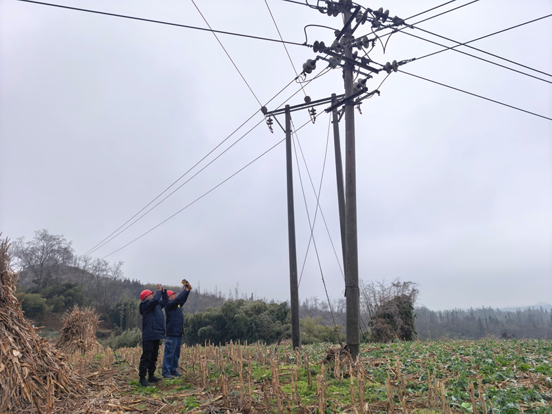 安順市郊供電局工作人員前往轄區內觀冰點進行觀冰，實地了解覆冰情況，提前謀劃，確保轄區群眾用電可靠（曾慶禹攝）.jpg