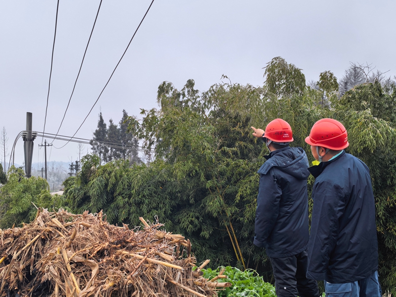 南方電網貴州安順市郊供電局工作人員前往轄區內觀冰點進行觀冰，實地了解覆冰情況，提前謀劃，確保轄區群眾用電可靠（曾慶禹攝）.jpg