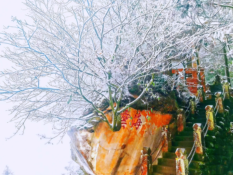 飛鴿雲海.jpg