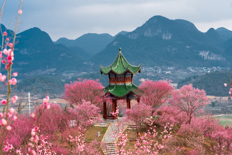 貴州梅園。貴安新區供圖.jpg