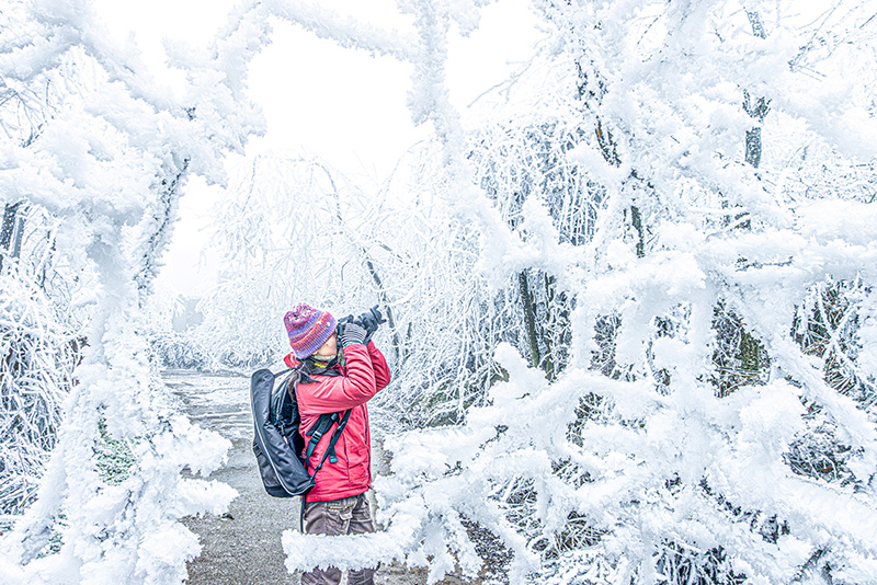 摄影爱好者在拍摄。张更生摄