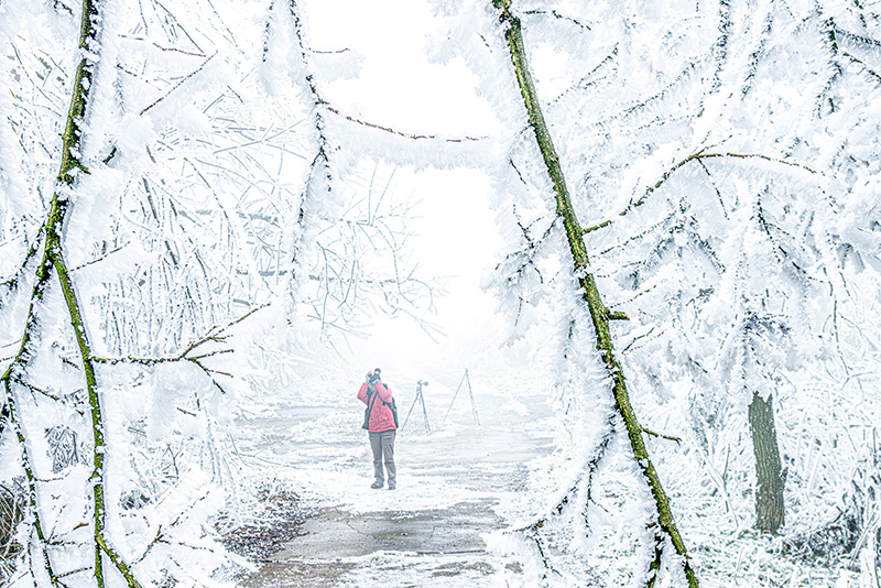 雪景。张更生摄