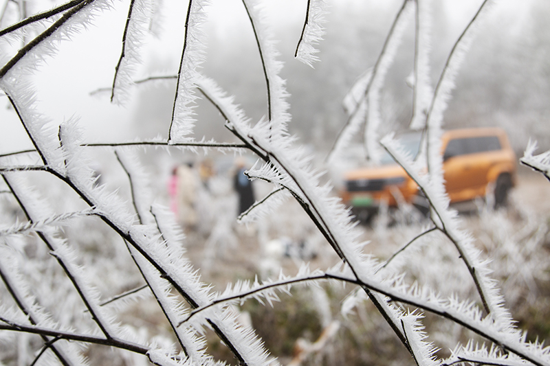 云雾山雾淞。钱信祥摄