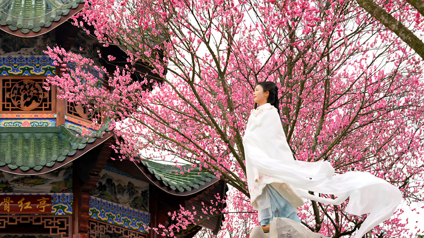 游客在花叢中打卡拍照。楊文攝