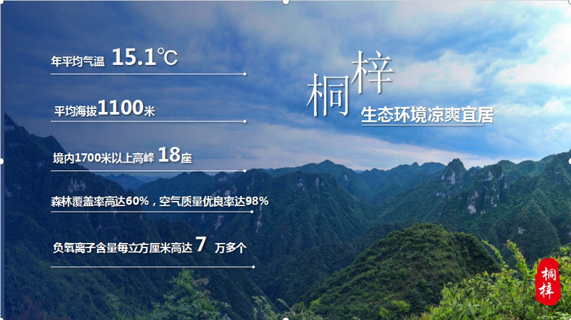 桐梓生态良好。桐梓县工商联供图