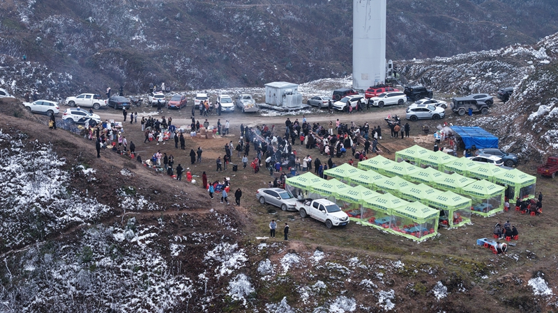 山頂生態露營基地。