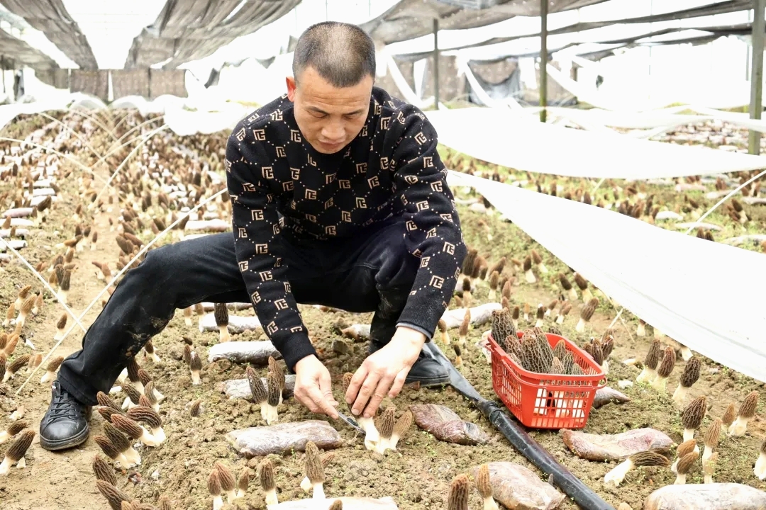 舒方元在基地忙碌。