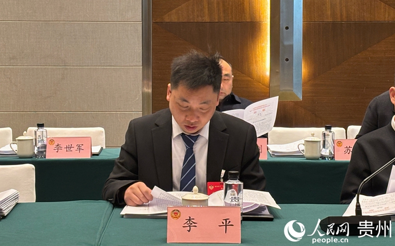 贵州省政协委员李平参加2026贵州省两会。人民网记者 高华摄.jpg