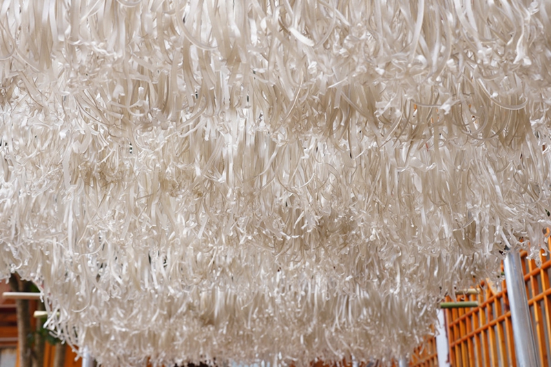 4.晾晒的红薯粉（邹小朋 摄）