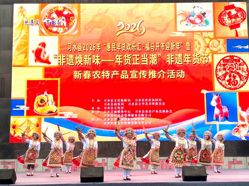 3、苗族斗腳舞歡快上演，點燃年貨節現場氛圍。羅金 攝.jpg
