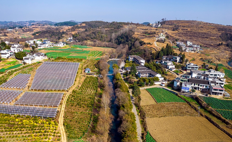 贵州省黔西市洪水镇解放村。