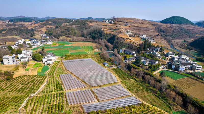 贵州省黔西市洪水镇解放村。