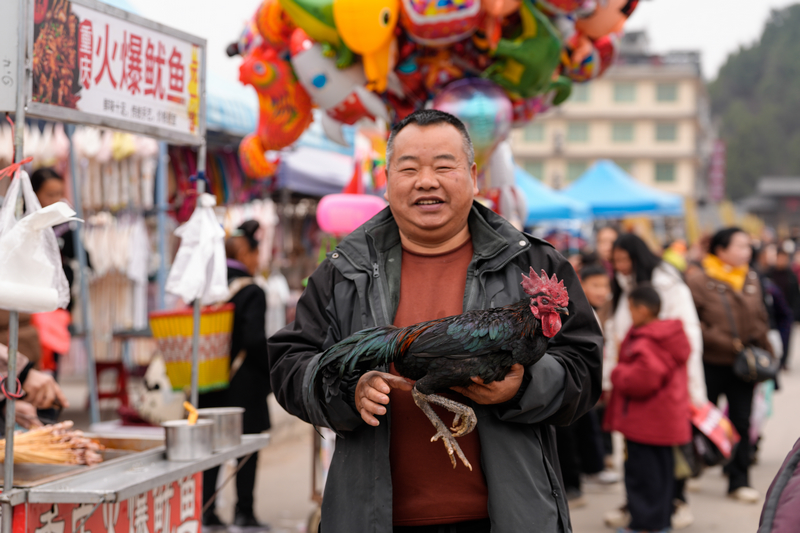 1月23日，凱裡下司大集一位市民買到了滿意的大公雞。