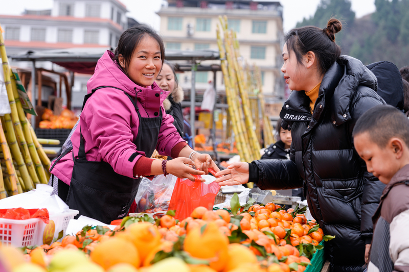 1月23日，凱裡下司大集上市民在購買橘子。