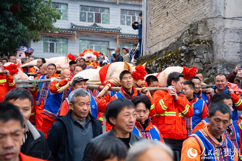 年猪巡游。人民网 阳茜摄