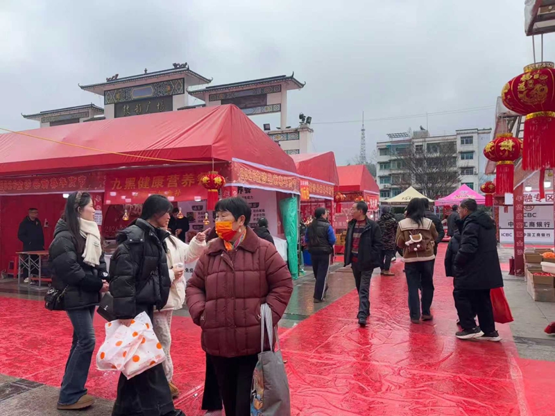 熱鬧的年貨節現場。 王方 攝.jpg