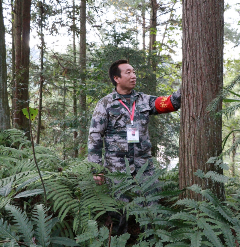 生態護林員周德財。貴州省林業局供圖