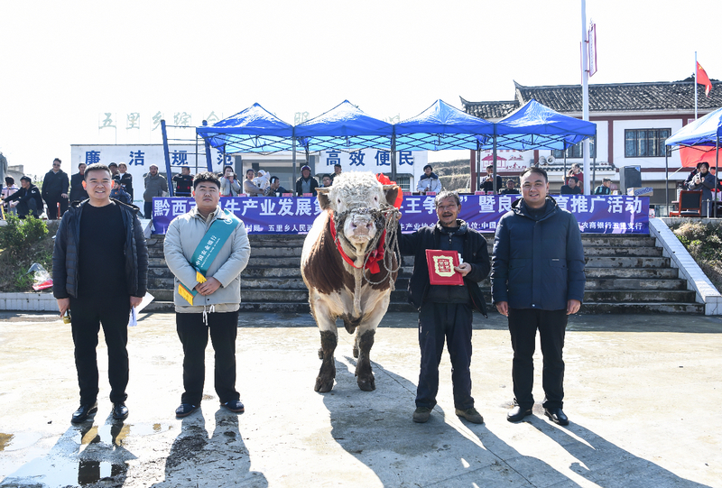 比赛颁奖现场。