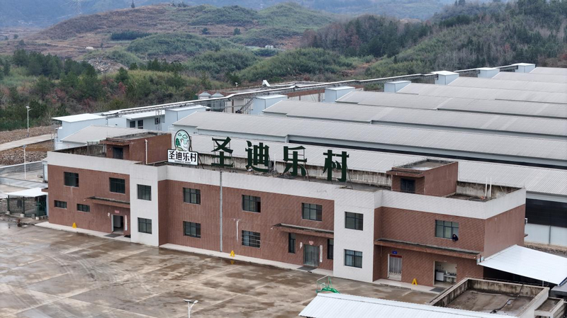 貴州銅仁：一枚雞蛋串起全產業鏈 家門口就業圓了富民夢。