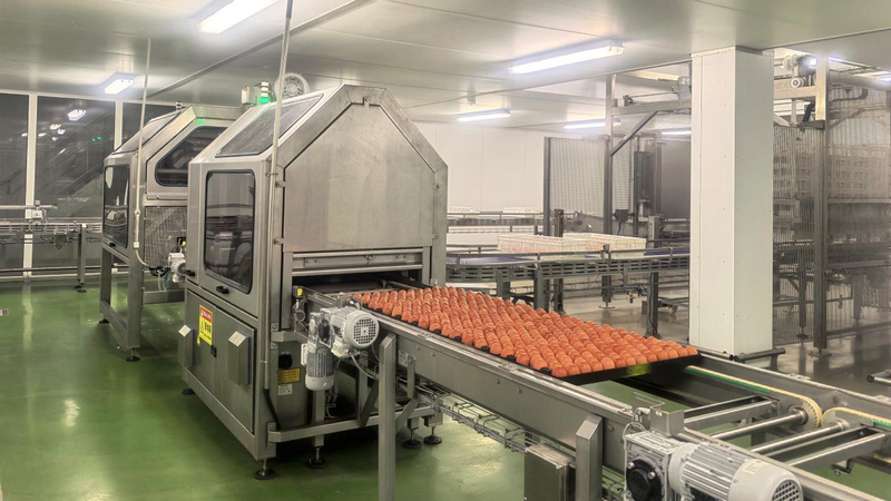 貴州銅仁：一枚雞蛋串起全產業鏈 家門口就業圓了富民夢。