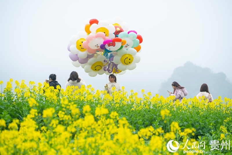 6000余亩油菜花海绽放。人民网 阳茜摄.jpg