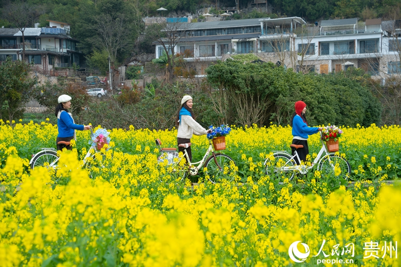 游客在花海中骑自行车。人民网 阳茜摄.jpg