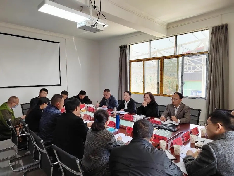 “好商量”文化繪同心 流動院壩協商助發展。